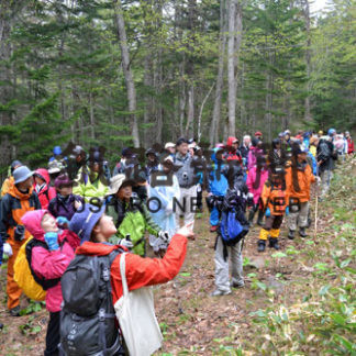 16日に阿寒の森ハイキング(2019-06-03)