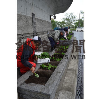 苗植えで街華やかに　富士見坂キンレンカの会(2019-06-21)