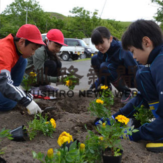 花壇整備　花であふれる町並みに(2019-07-18)