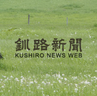 タンチョウ観察＆湿原散策 日帰りツアーを企画(2019-06-01)