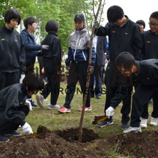 20、30年後の桜見たい 子ども達の記念植樹(2019-06-13)