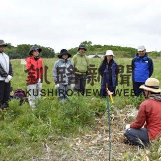 野鳥保護区にヤナギ植樹 明治の社員ら奉仕活動(2019-06-16)