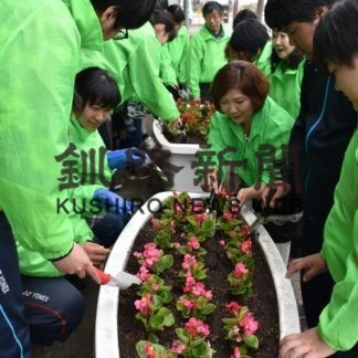 ベゴニアで　ＭＯＯに彩り　国際ソロプチミスト釧路(2019-05-19)