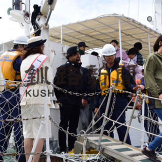 港まつり　グラフ(2019-07-19)_3