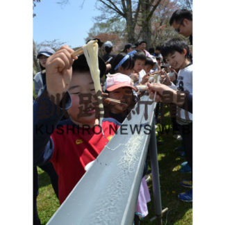 浜中　桜まつり(2019-05-21)