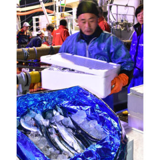 公海サンマ初水揚げ(2019-05-29)