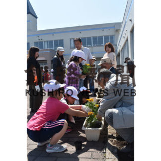 大楽毛小花いっぱい(2019-05-30)