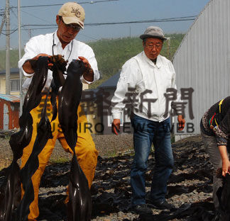 移住交流新規事業(2019-05-28)