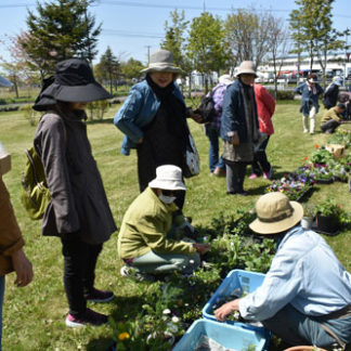 宿根草交換会(2019-05-28)