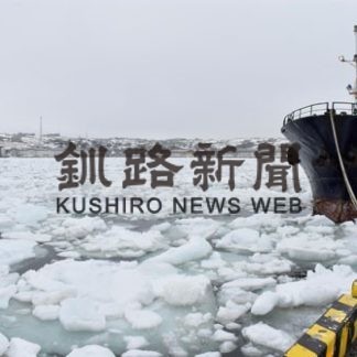 花咲港　３年ぶり流氷(2020-03-10)