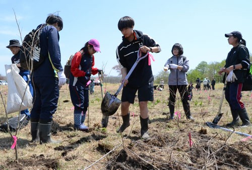 シマフクロウ植樹(2019-05-26)