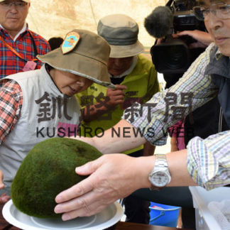 マリモ調査、１億６００万個(2020-03-13)