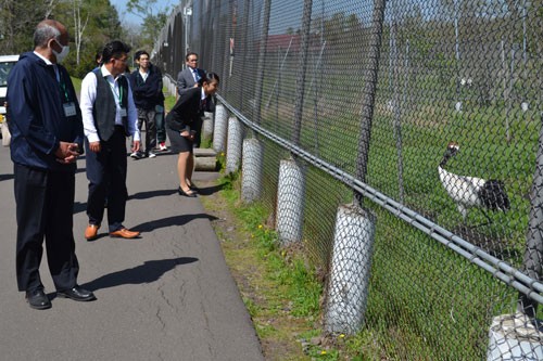 鶴公園ツアー(2019-05-24)