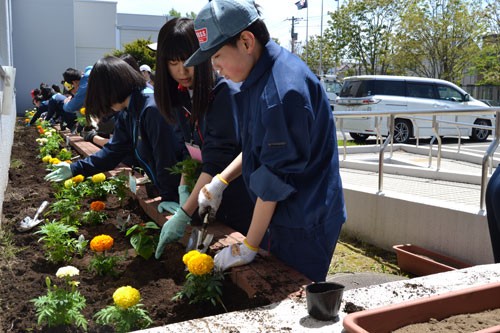 養護共同学習(2019-05-24)