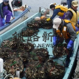 歯舞産カキ愛称募集(2019-05-25)
