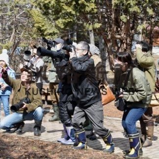 阿寒国際ツルセンターで多くの野鳥観察(2020-03-23)