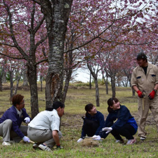桜の木の下で　社員ら草刈り　小針グループ(2019-05-28)