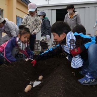 異世代交流イモ植え(2019-05-23)