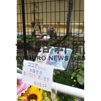 ココアの誕生会(2019-05-20)