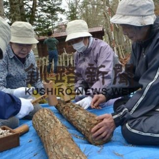 シイタケ植菌栽培の普及図る(2019-05-22)