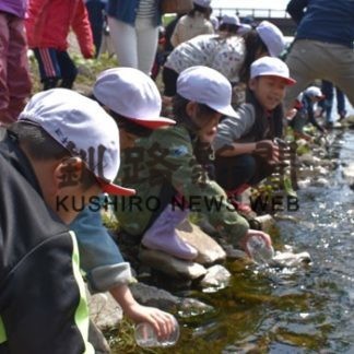 「元気に戻ってきてね」　稚魚放流(2019-05-23)