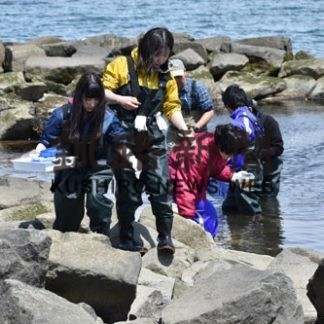 海洋教育パイオニアスクール(2019-05-23)