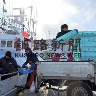 　「知床羅臼写真コンテスト2019」スナップ部門賞 三船さん(2020-04-26)