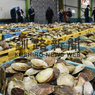 根室湾ホタテ春漁解禁、初日まずまず(2020-04-02)