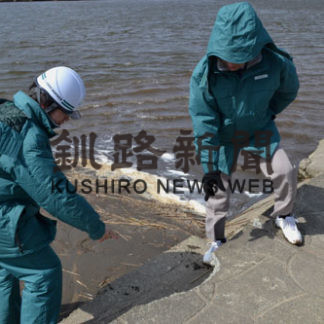 釧路川周辺の取水施設を安全点検(2020-04-16)