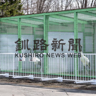 タンチョウ輪禍の現実知って　動物園ツル舎公開(2020-04-17)