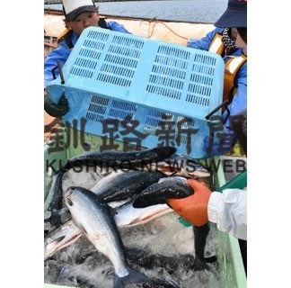 日本200㌋水域内、サケ・マス今季初水揚げ　小型流し網漁、道東各港に帰港(2020-04-14)