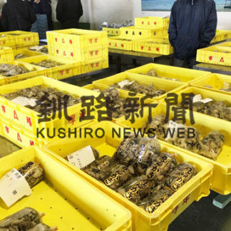 漁業　コロナで苦境(2020-04-20)