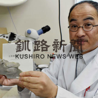 貝の新種「ツベツスミゾメソデガイ」松原教授命名(2020-04-20)