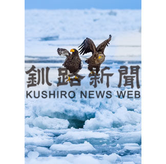 知床羅臼写真コンテスト　最優秀賞に横浜の和田さん(2020-04-05)