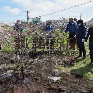 桜並木整備へ植樹(2020-05-28)
