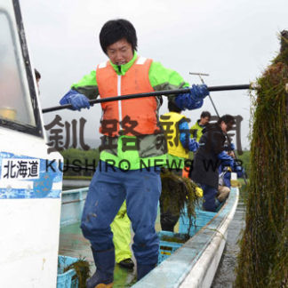 阿寒湖で水草活用事業(2020-06-01)_2