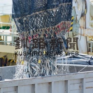 マイワシ消費拡大へ高鮮度保持技術を研究(2020-05-14)