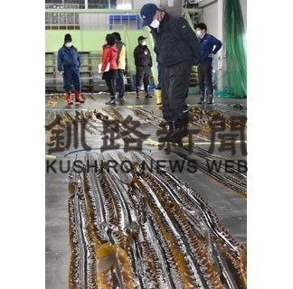 コンブ生育まずまず　貝殻島周辺　漁業者、今後の成長に期待(2020-05-17)