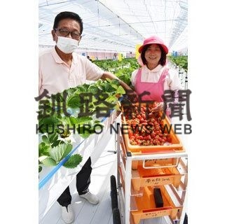 ゆめいちご栽培順調(2020-05-22)