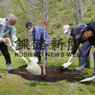 ふるさと納税返礼品のエゾヤマザクラ植樹(2020-05-31)