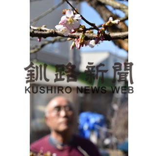 粟野さん宅のチシマザクラ開花(2020-05-10)