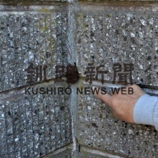 住宅街に迷いコウモリ(2020-05-26)