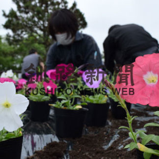 総合振興局と造園建設業協会、町村会は釧路空港線で花3300株植栽(2020-07-01)