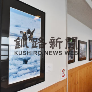 知床羅臼写真コン、入賞作品を展示(2020-06-17)