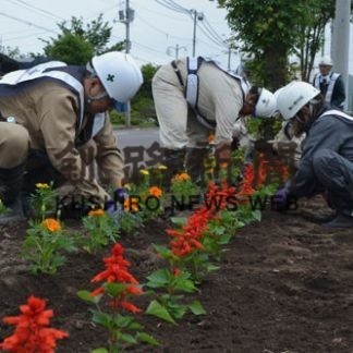 阿寒の国道沿いで花植え作業に汗　(2020-06-20)