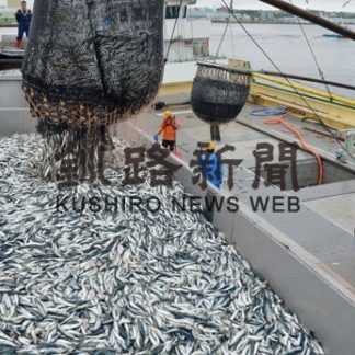 マイワシ 魚体小さく、道東沖巻き網漁始まる(2020-06-27)