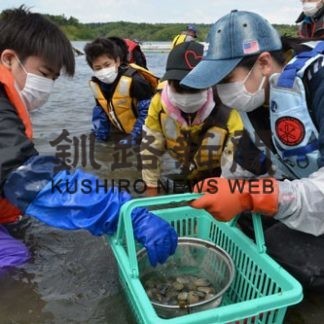 力合わせて、アサリ掘り(2020-06-10)