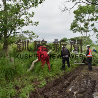 ３建設会社合同で雑木切断奉仕活動(2020-06-25)