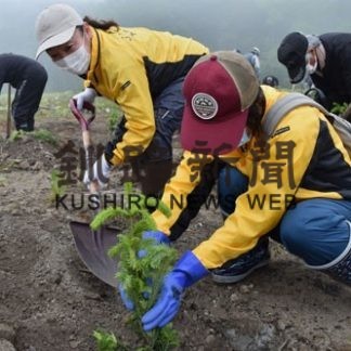 白糠でトドマツ700本植樹(2020-06-17)