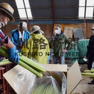 音別のフキ　福岡の生協採用、宅配で販売(2020-06-24)